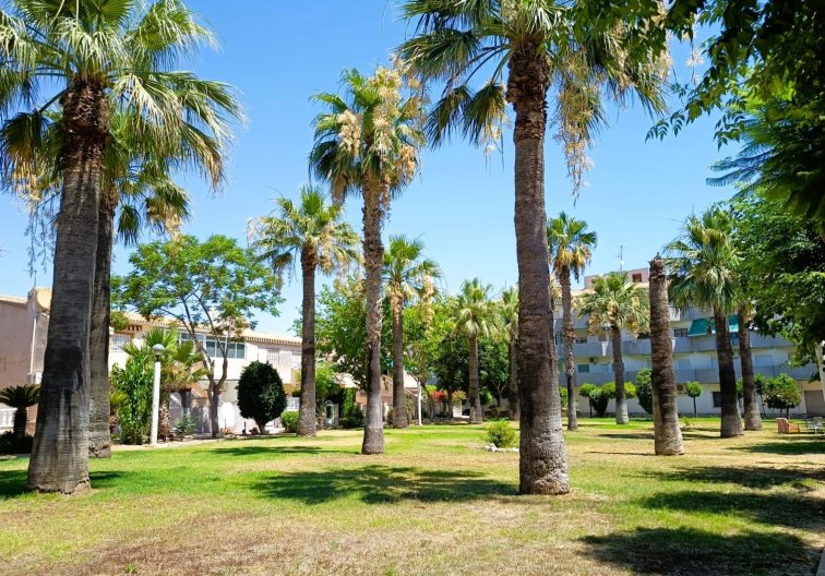 Segunda mano - Bungalow - Orihuela Costa - Costa Blanca