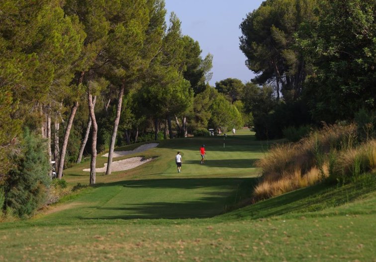 Obra Nueva - villa - Orihuela - Las Colinas Golf