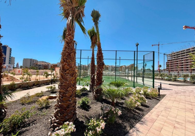 Wiederverkauf - Wohnung - Torrevieja - Punta Prima