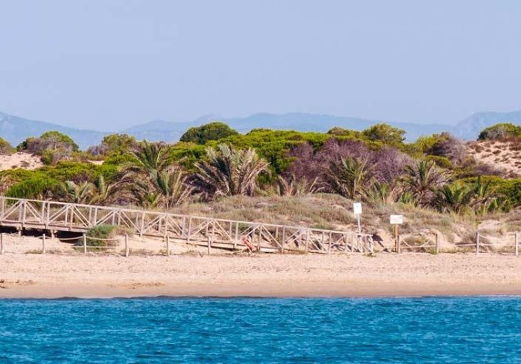 Obra Nueva - Atico - Guardamar del Segura - Pueblo
