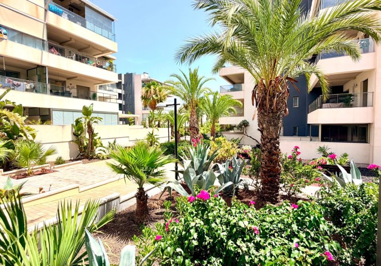 Segunda mano - Apartamento  - Orihuela Costa - Costa Blanca