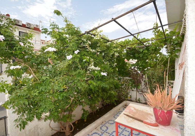 Segunda mano - town house - Torrevieja - Costa Blanca