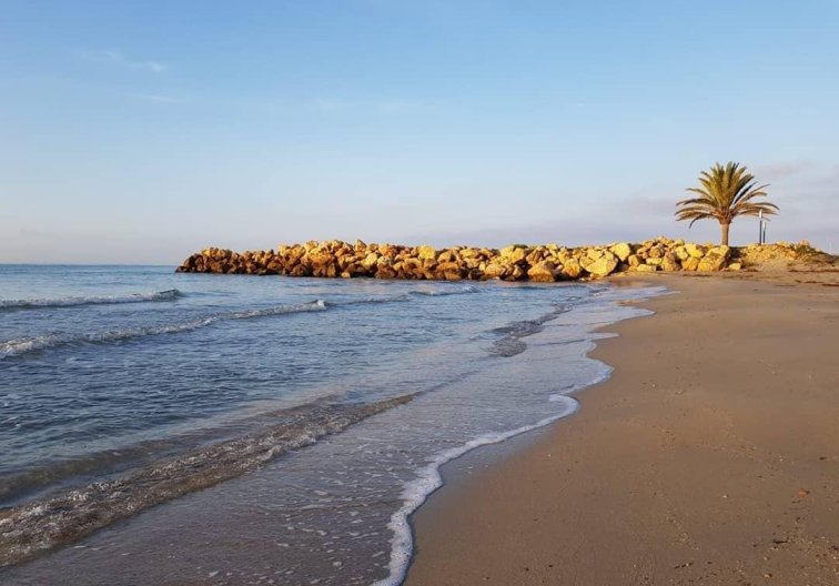 Obra Nueva - Apartamento  - Santa Pola - Playa Tamarit