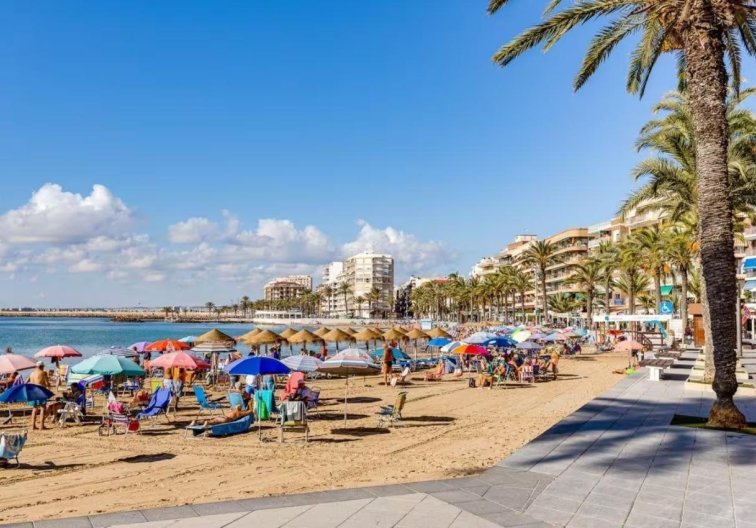 Segunda mano - Apartamento  - Torrevieja - Centro