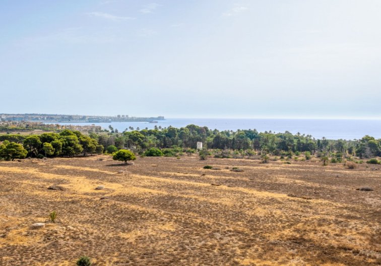 Wiederverkauf - Wohnung - Orihuela Costa - Costa Blanca