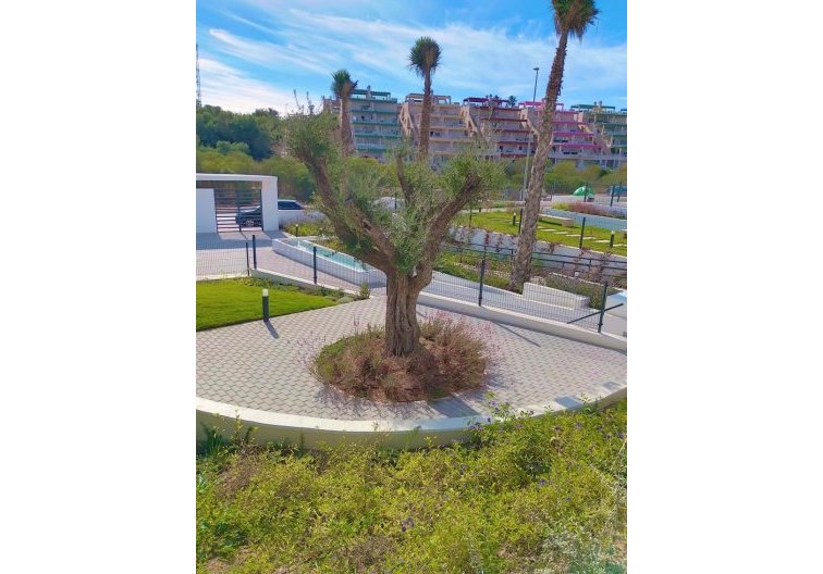 Wiederverkauf - Wohnung - Orihuela - Inland