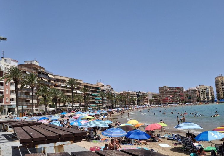 Wiederverkauf - Wohnung - Torrevieja - Estacion De Autobuses