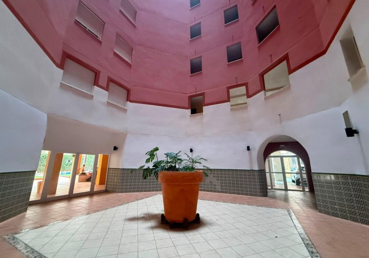 Segunda mano - Apartamento  - Torrevieja - Playa de los Locos