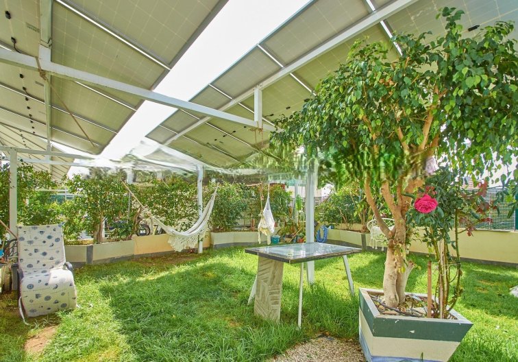 Revente - Appartement - Finestrat - Cala De Finestrat