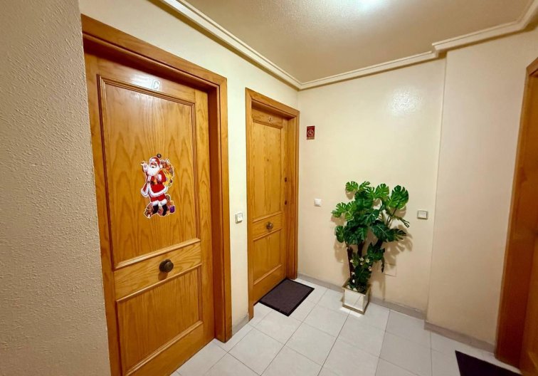 Segunda mano - Apartamento  - Torrevieja - Acequion