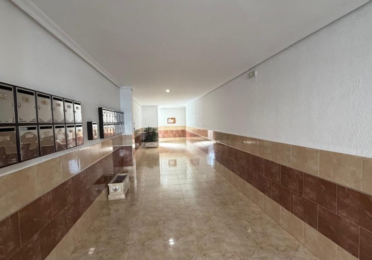 Segunda mano - Apartamento  - Torrevieja - Acequion