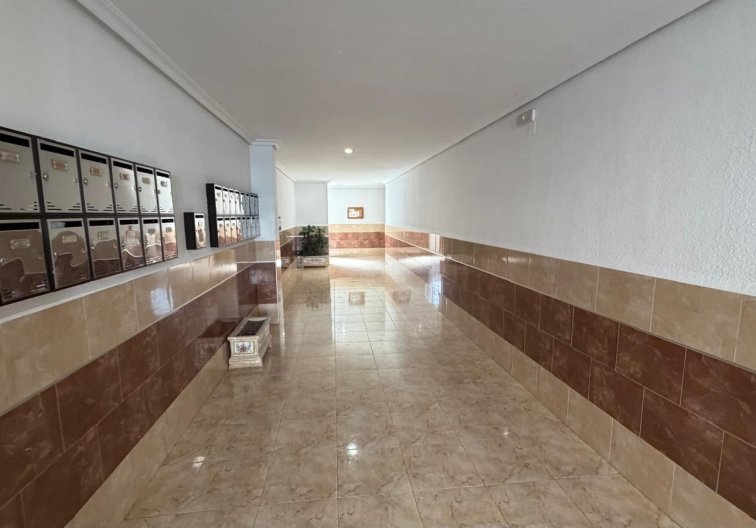 Segunda mano - Apartamento  - Torrevieja - Acequion