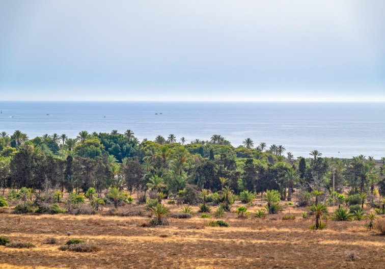 Wiederverkauf - Wohnung - Torrevieja - Punta Prima