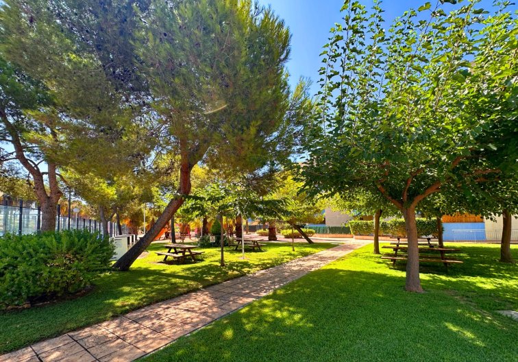 Segunda mano - Apartamento  - Orihuela Costa - Costa Blanca