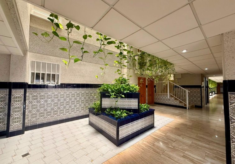 Resale - Apartment - Torrevieja - Playa del Cura
