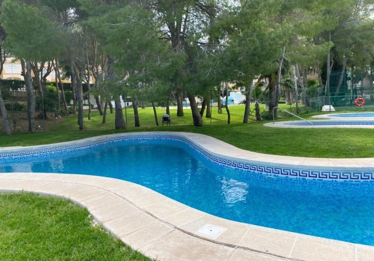 Segunda mano - Apartamento  - Orihuela Costa - Campoamor