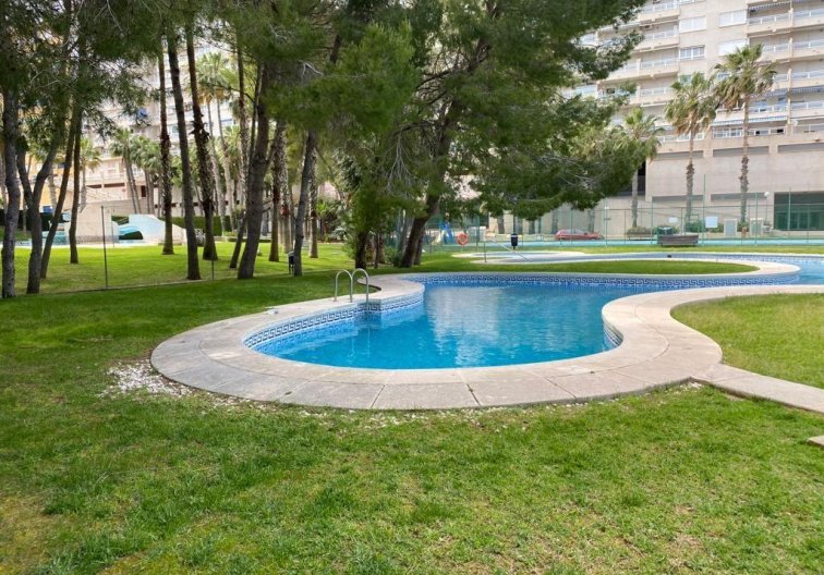 Segunda mano - Apartamento  - Orihuela Costa - Campoamor