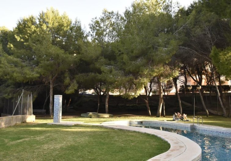 Segunda mano - Apartamento  - Orihuela Costa - Campoamor