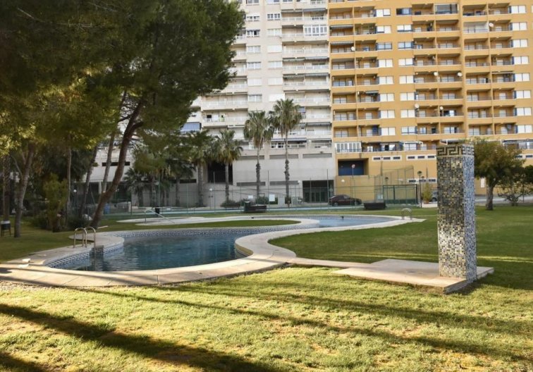 Segunda mano - Apartamento  - Orihuela Costa - Campoamor