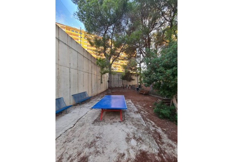 Segunda mano - Apartamento  - Orihuela Costa - Campoamor