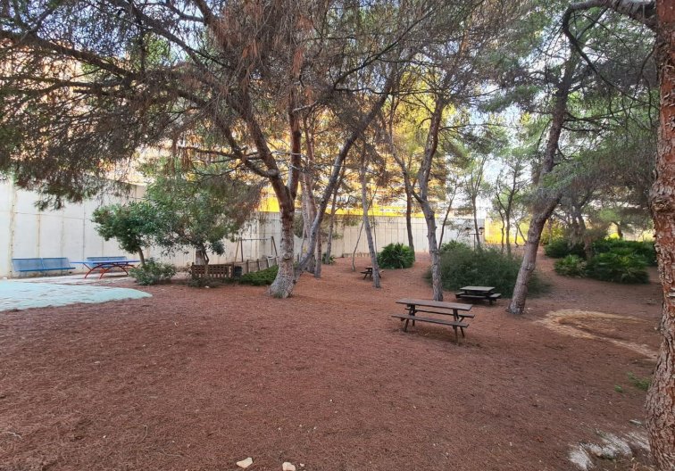 Segunda mano - Apartamento  - Orihuela Costa - Campoamor