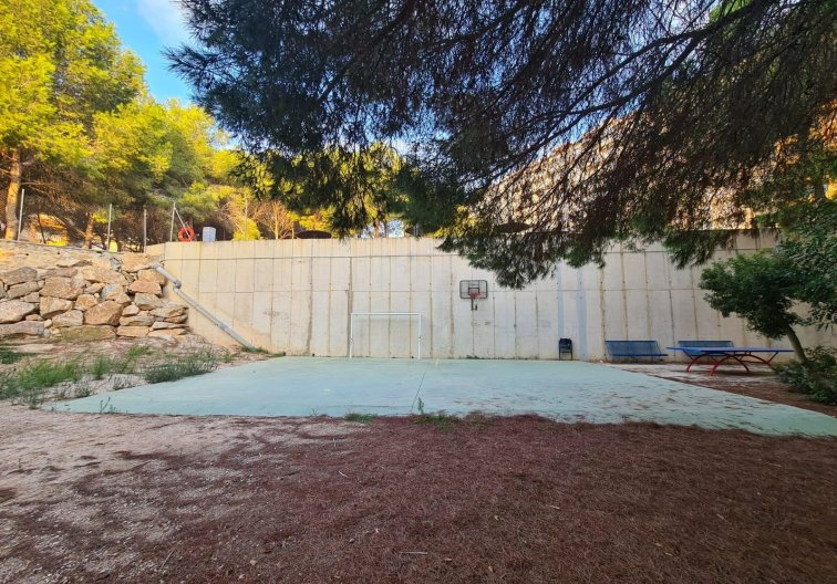 Segunda mano - Apartamento  - Orihuela Costa - Campoamor