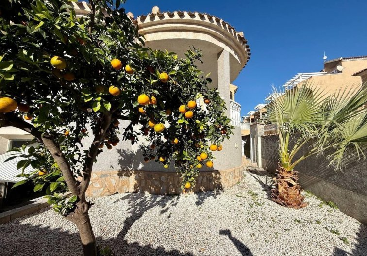 Revente - villa - Orihuela Costa - Playa Flamenca