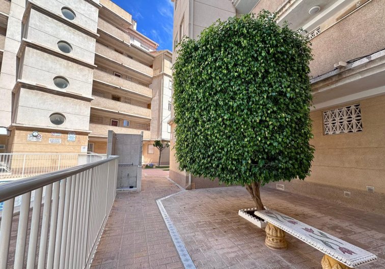 Resale - Apartment - Torrevieja - Habaneras