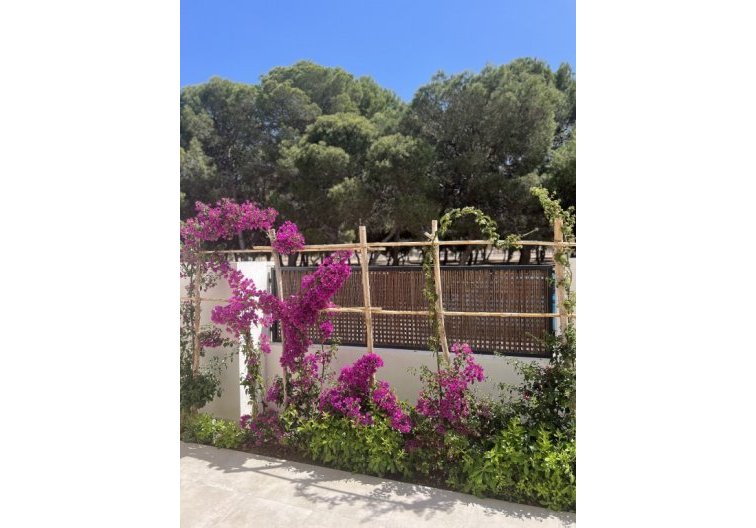 Wiederverkauf - Wohnung - Santiago de la Ribera - Costa Calida