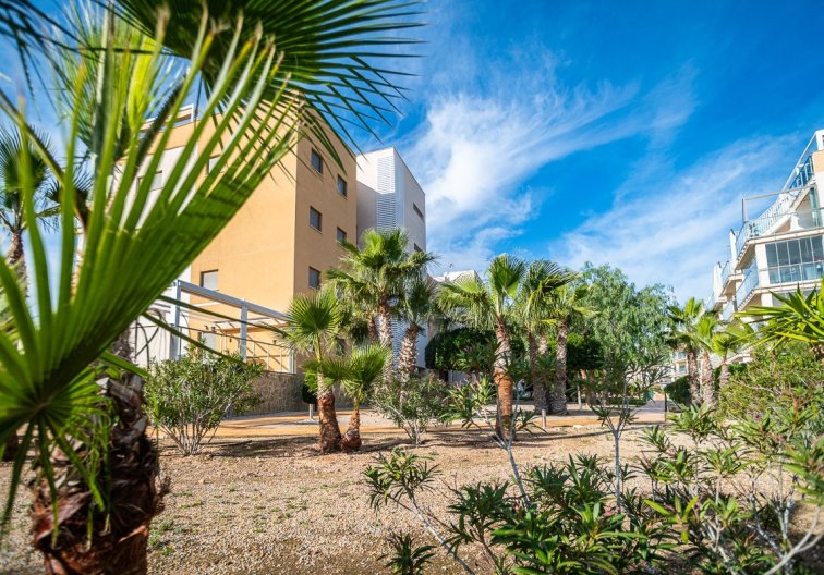 Segunda mano - Apartamento  - Orihuela Costa - Costa Blanca