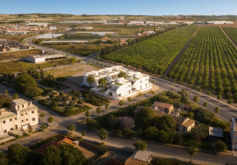 Obra Nueva - Bungalow - Pilar de la Horadada - pueblo