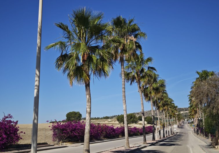 Segunda mano - villa - Algorfa - Inland