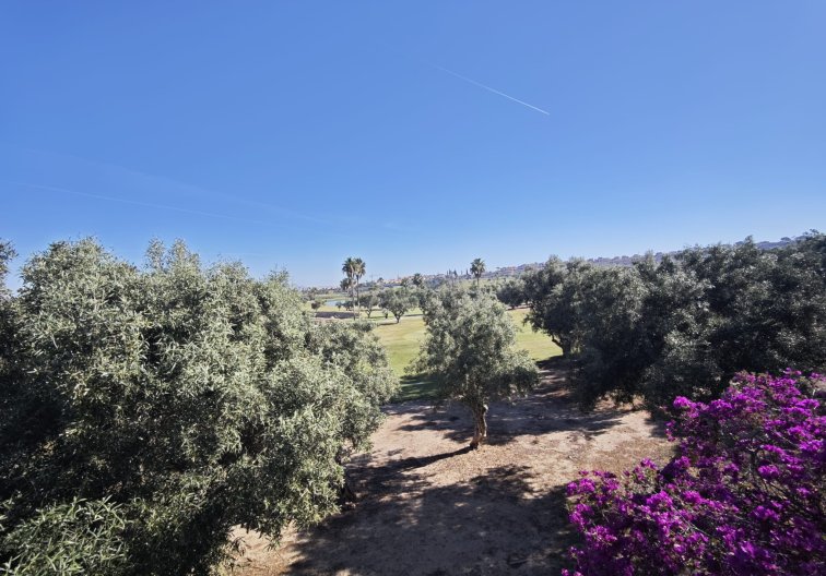 Segunda mano - villa - Algorfa - Inland