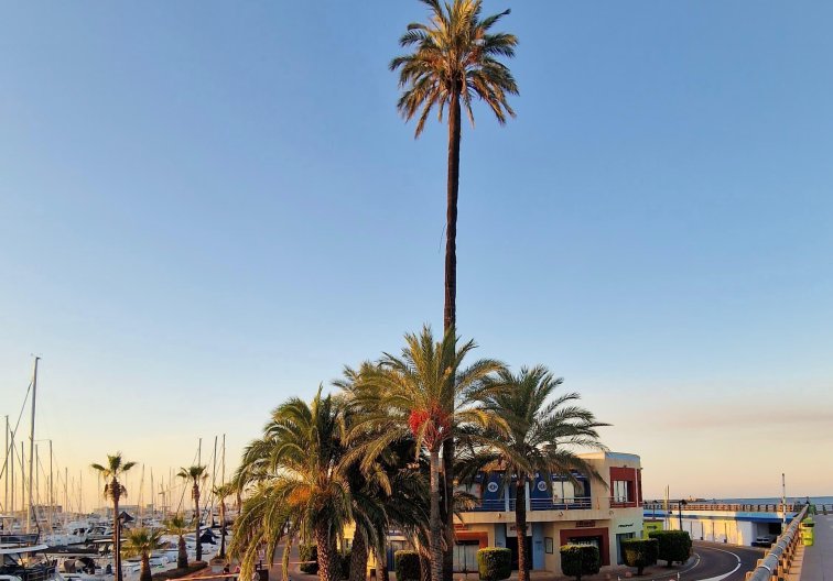 Resale - Apartment - Denia - Costa Blanca