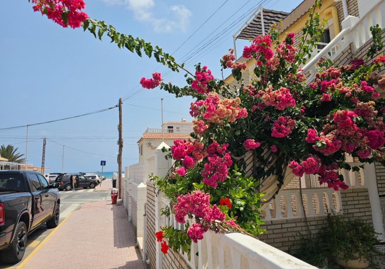 Wiederverkauf - Bungalow - Torrevieja - Los Europeos