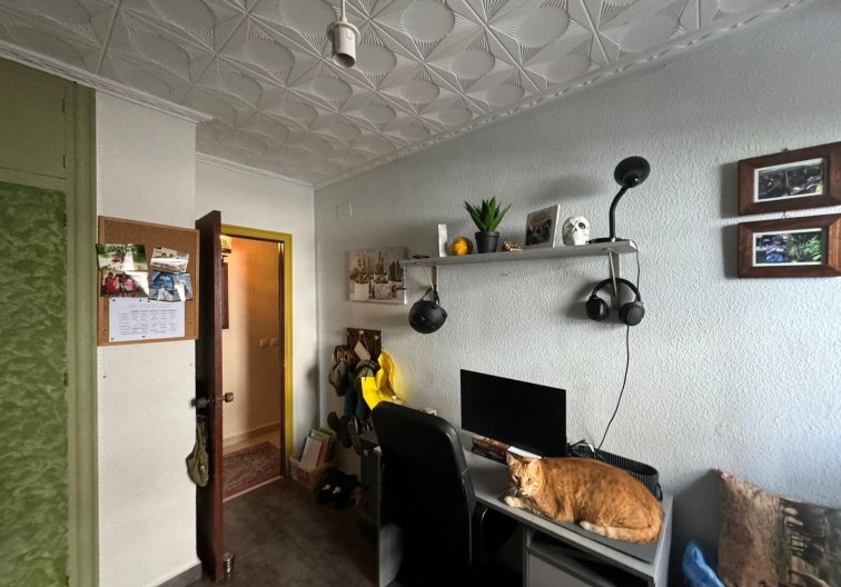 Segunda mano - Apartamento  - San Miguel de Salinas - Balcon De San Miguel