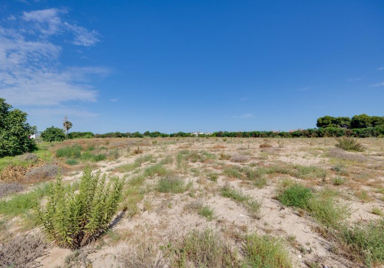 Segunda mano - villa - Torrevieja - El Limonar