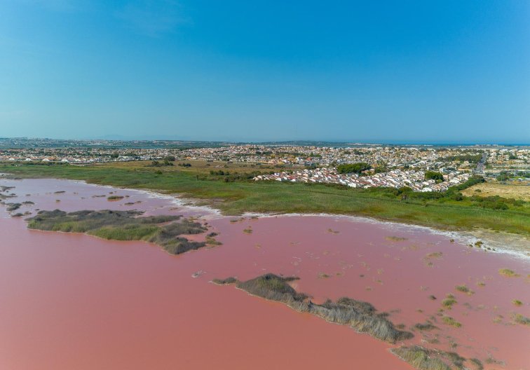 Segunda mano - villa - Torrevieja - El Limonar