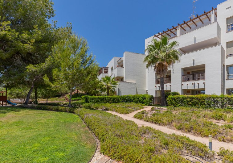 Segunda mano - Apartamento  - Orihuela - Las Colinas