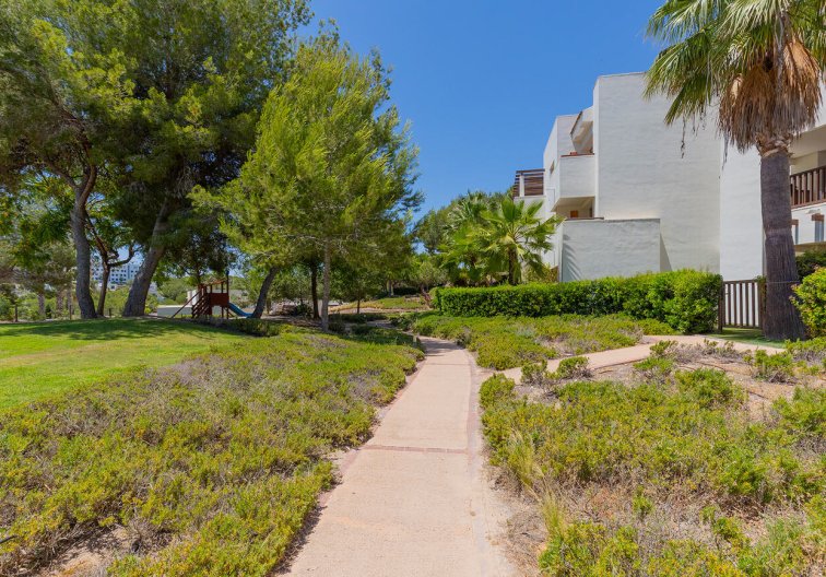 Segunda mano - Apartamento  - Orihuela - Las Colinas