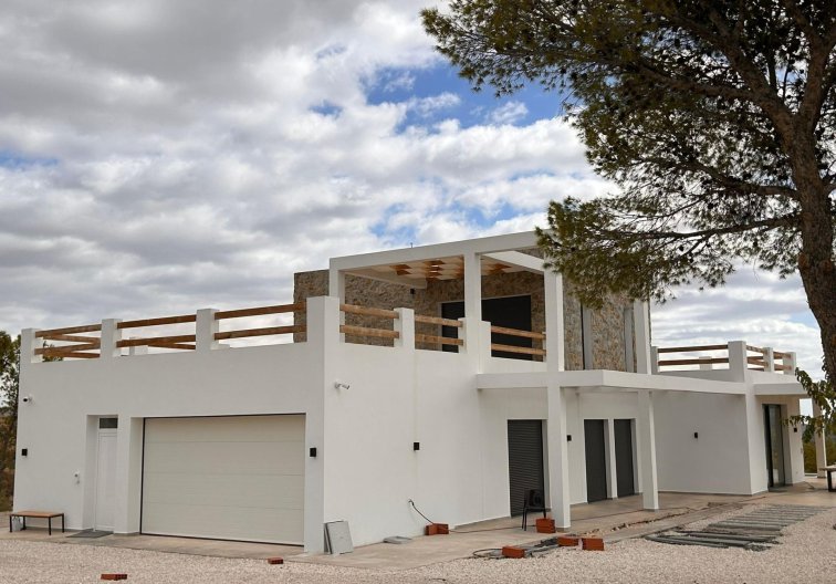 Obra Nueva - villa - Pinoso - Casas Pastor