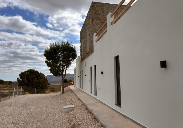 Obra Nueva - villa - Pinoso - Casas Pastor