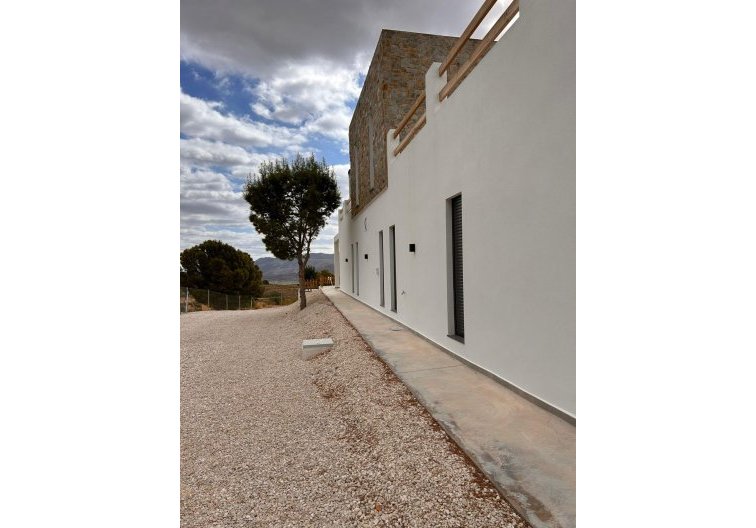 Obra Nueva - villa - Pinoso - Casas Pastor