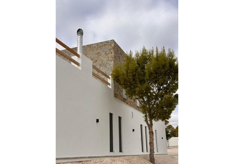 Obra Nueva - villa - Pinoso - Casas Pastor