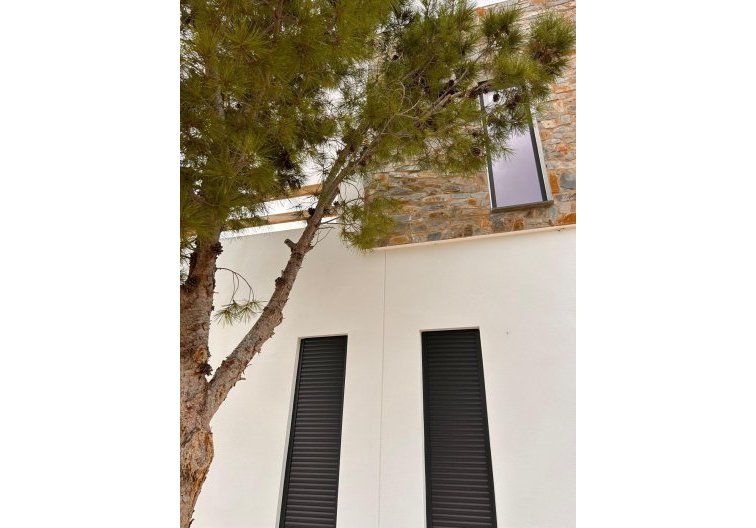 Obra Nueva - villa - Pinoso - Casas Pastor
