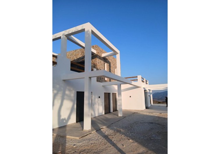 Obra Nueva - villa - Pinoso - Casas Pastor