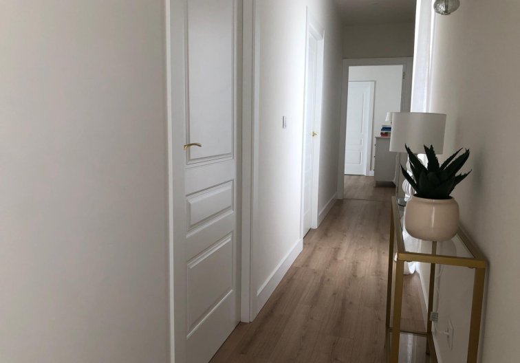 Construction Neuve - villa - Aspe - urbanizaciones
