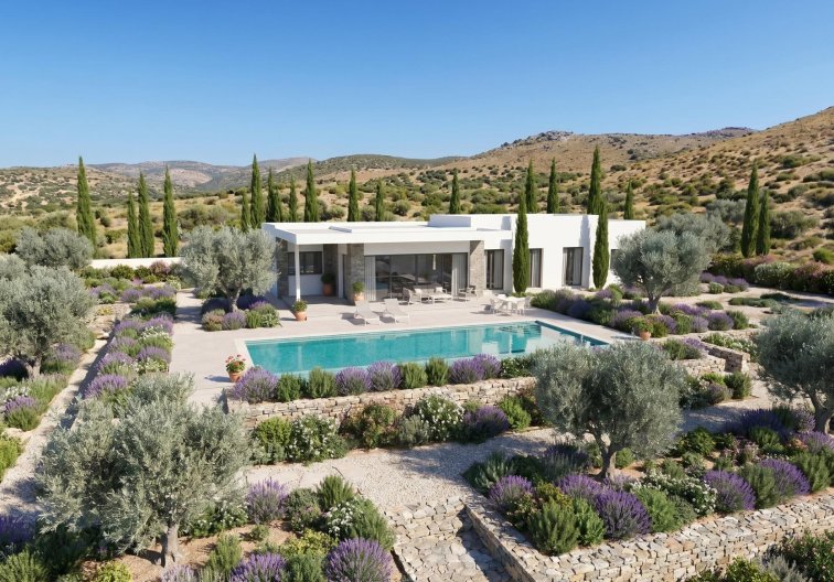 Obra Nueva - villa - Pinoso - Casas Pastor
