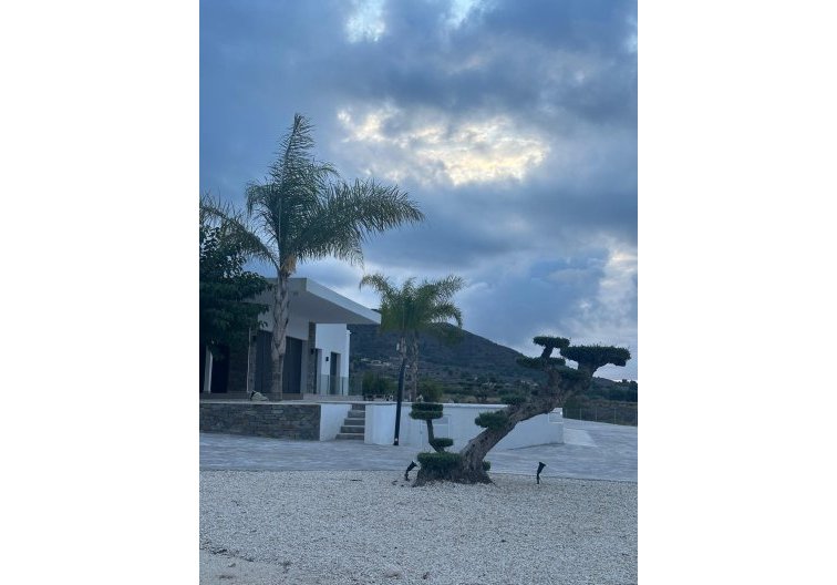 Obra Nueva - villa - Pinoso - Casas Pastor