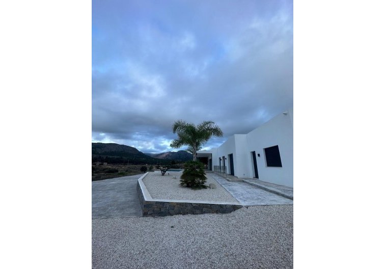 Obra Nueva - villa - Pinoso - Casas Pastor